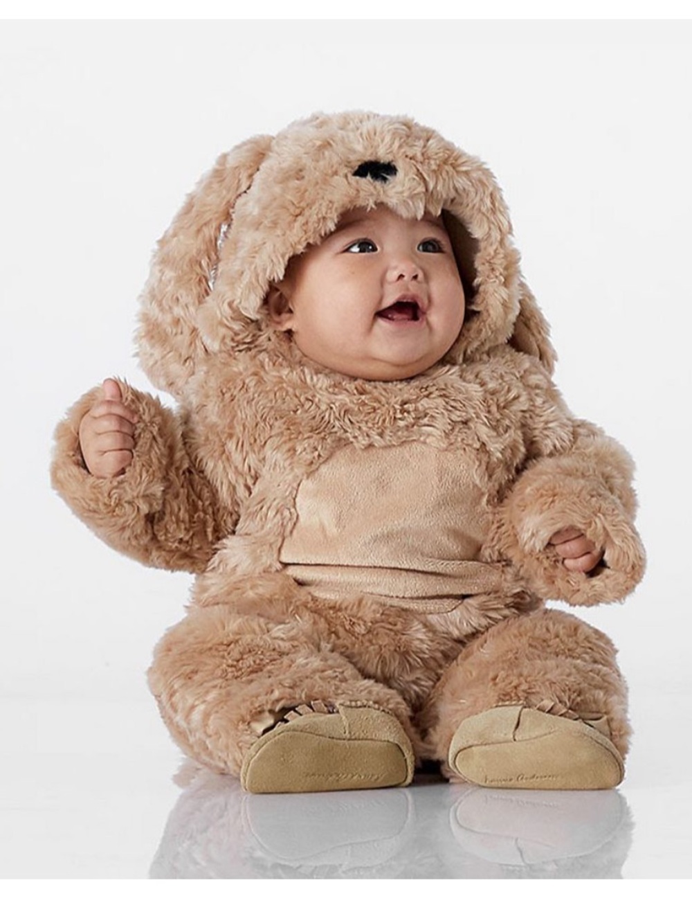 POTTERY BARN KIDS Baby Labradoodle Dog Puppy Halloween Costume sz 0-6 Months